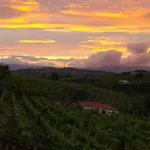 Chalet Casa Vinhas Velhas By Casa Do Poco Peso da Régua